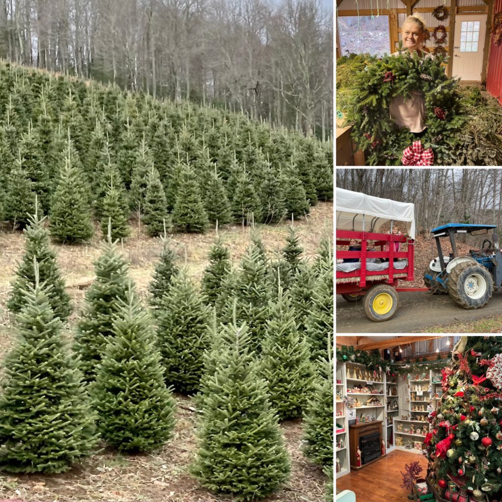 Christmas Trees and Fresh Wreaths at Sugar Plum Farms Oak Creek Cabin