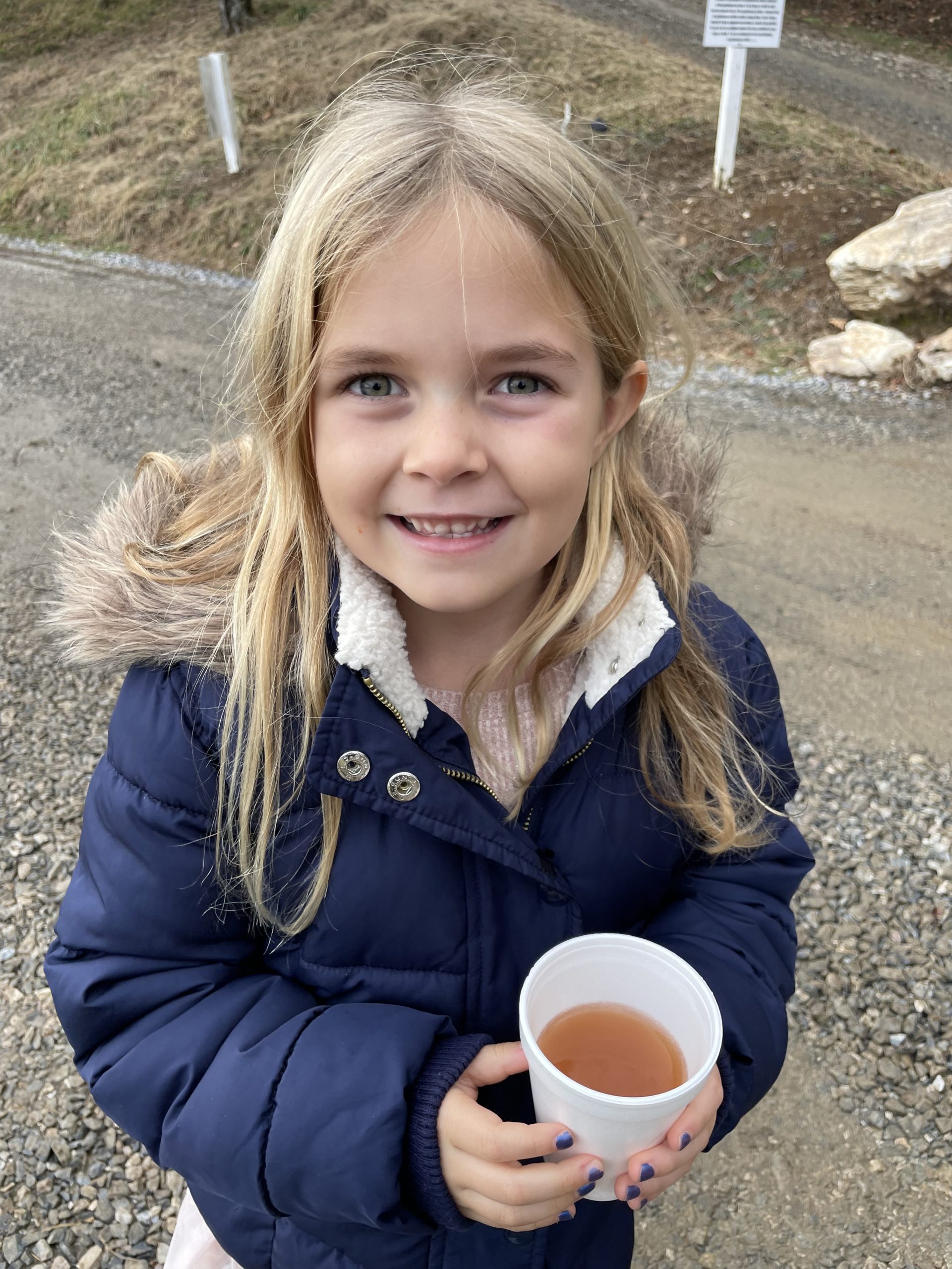 Christmas Trees and Fresh Wreaths at Sugar Plum Farms Oak Creek Cabin